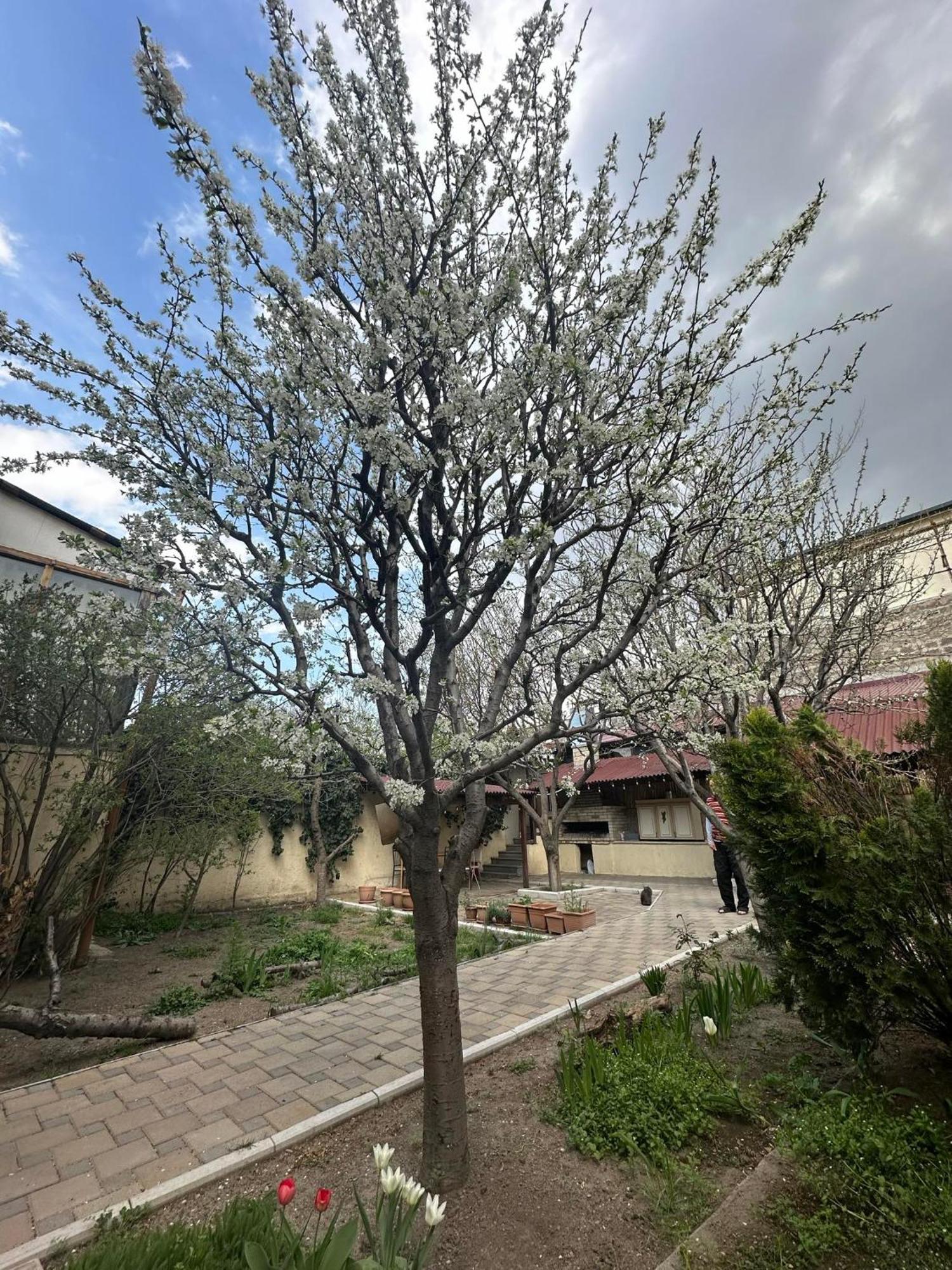 Popock City Center Yerevan Luaran gambar